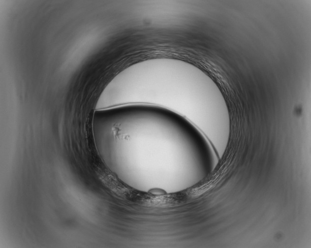 X0000101140382200806270741