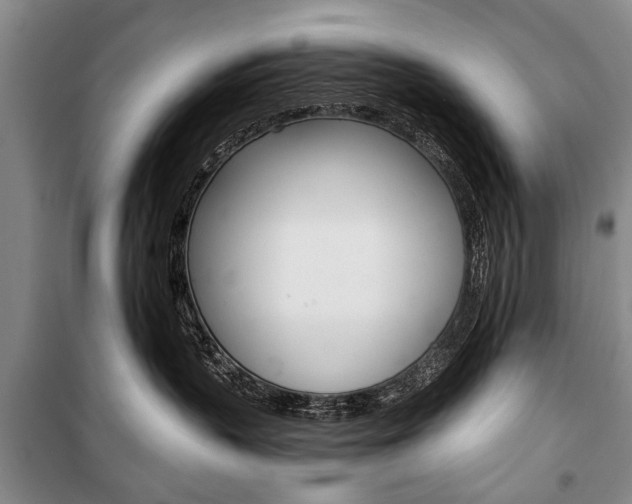 X0000101140383200806270741