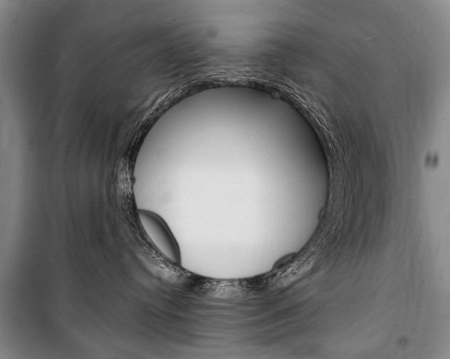 X0000101140384200806270741