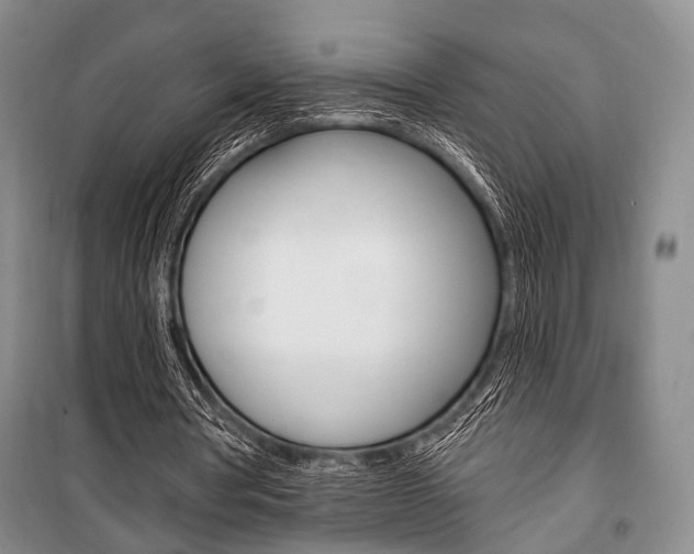 X0000101140386200806270741