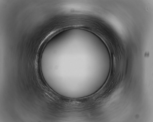 X0000101140387200806270741