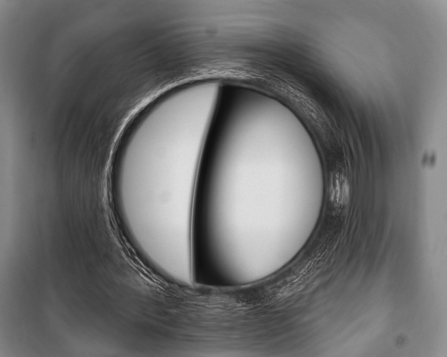 X0000101140388200806270741
