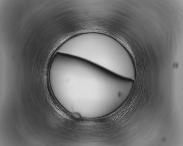 X0000101140389200806270741