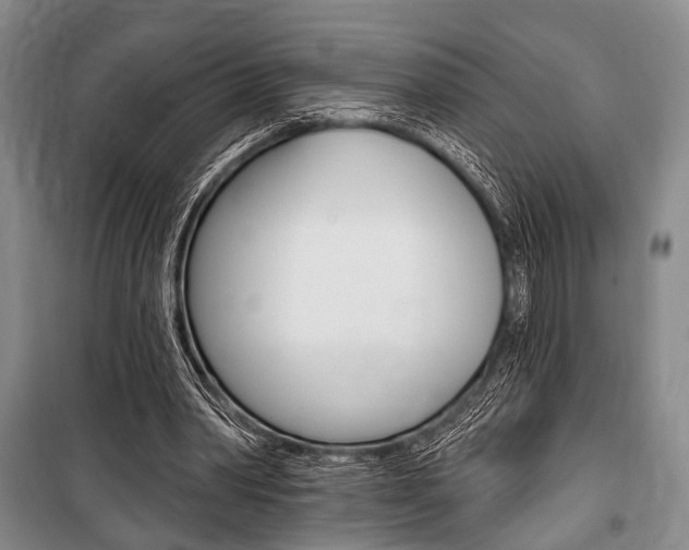 X0000101140390200806270741