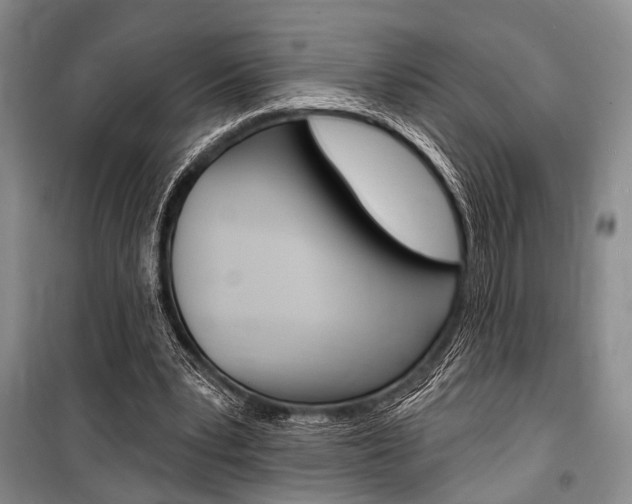 X0000101140391200806270741