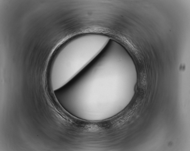 X0000101140392200806270741