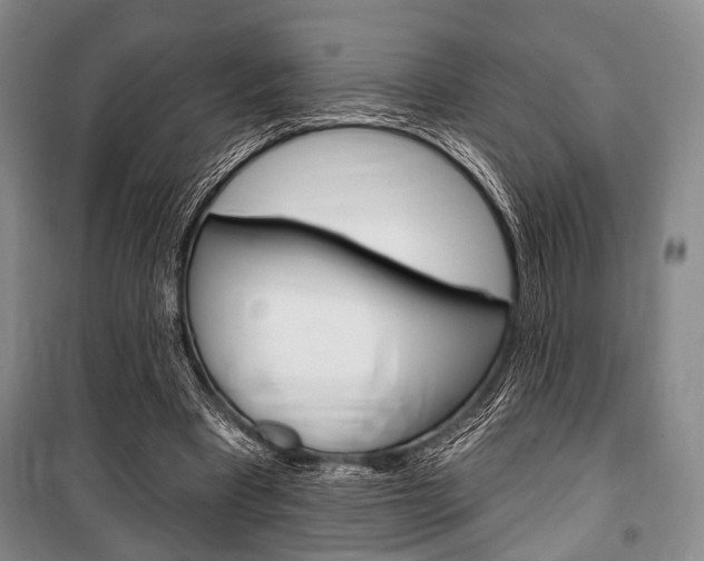 X0000101140393200806270741