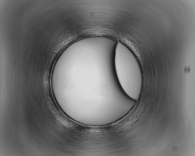 X0000101140394200806270741