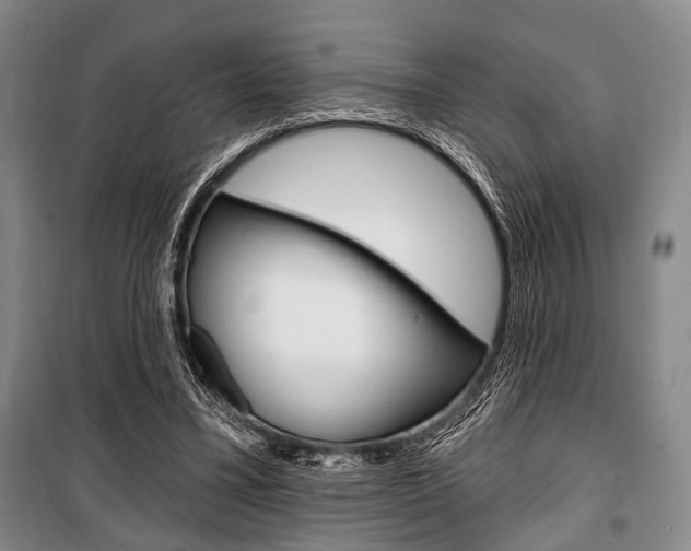 X0000101140395200806270741