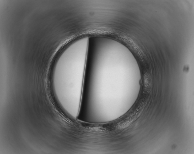 X0000101140396200806270741