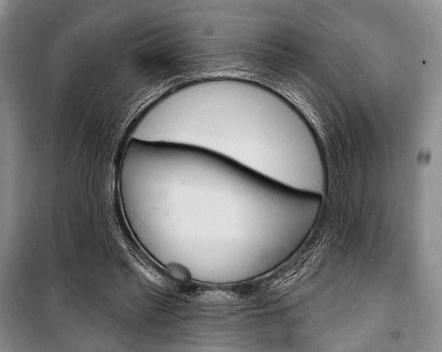 X0000101140397200806270741