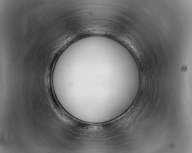 X0000101140398200806270741