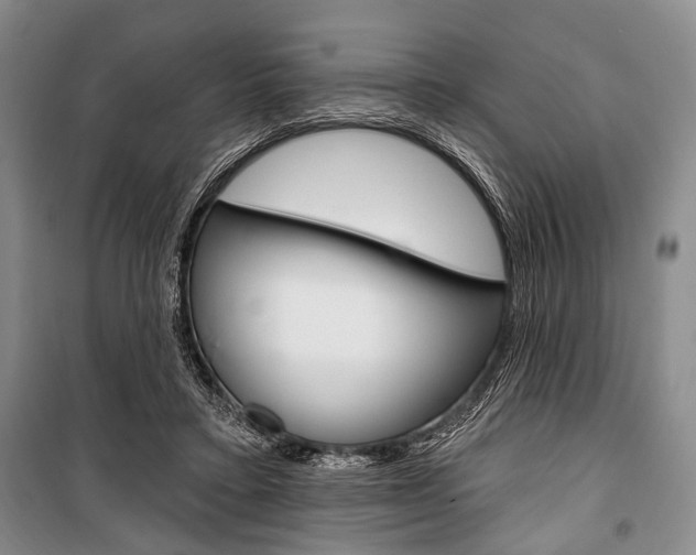 X0000101140403200806270741