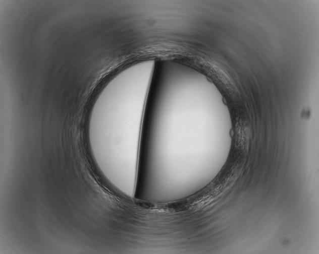 X0000101140404200806270741