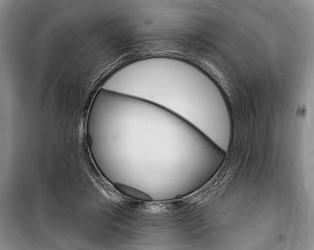 X0000101140405200806270740