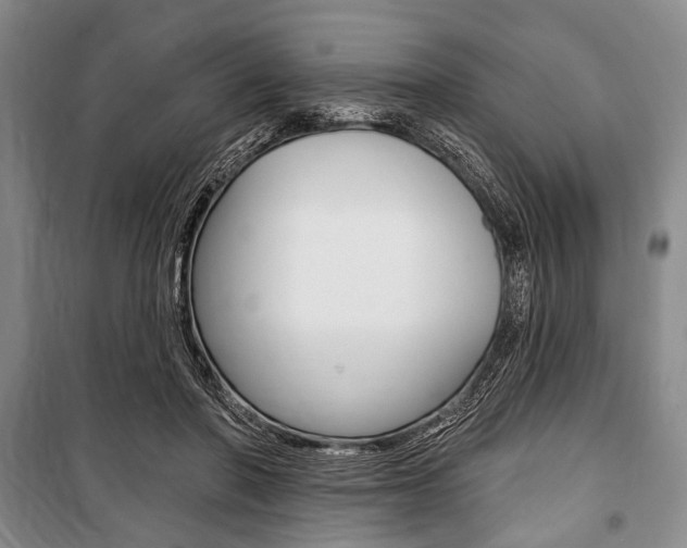 X0000101140406200806270740