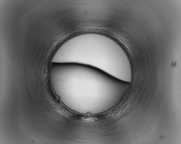 X0000101140407200806270740