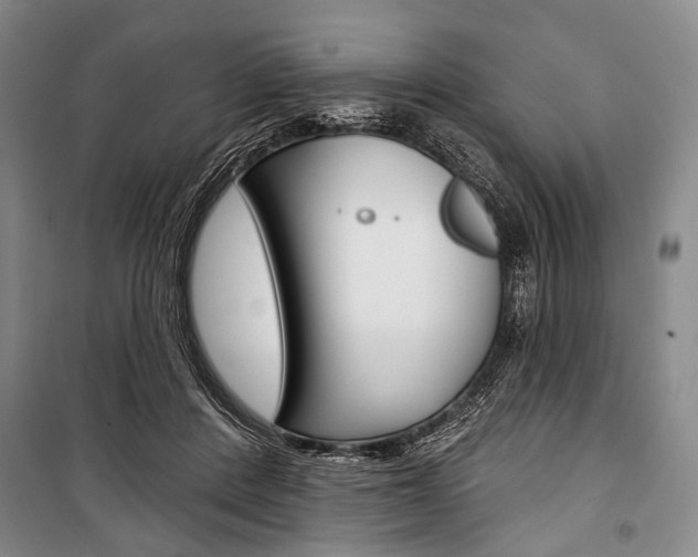 X0000101140408200806270740
