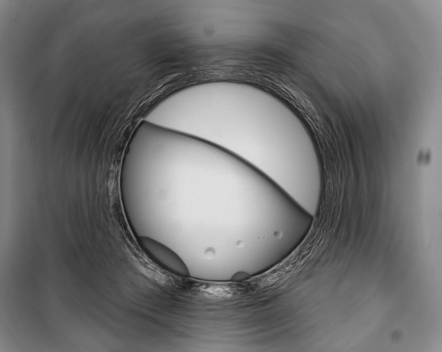 X0000101140409200806270740