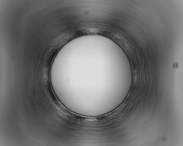 X0000101140410200806270740