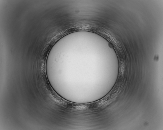 X0000101140411200806270740