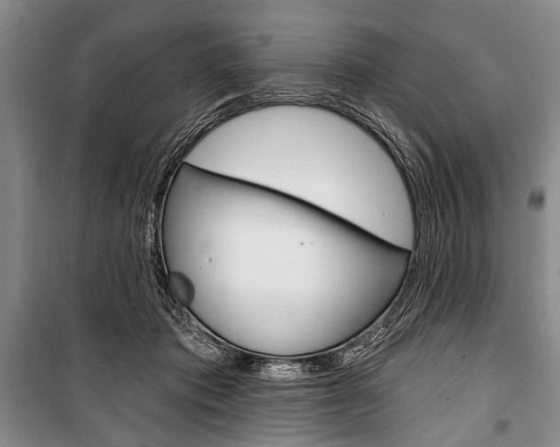 X0000101140413200806270740
