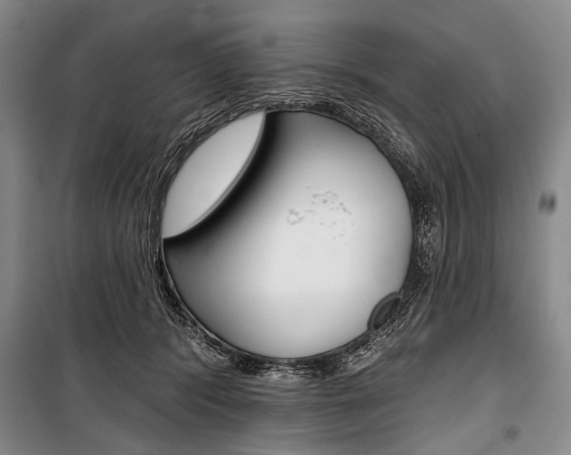 X0000101140416200806270740
