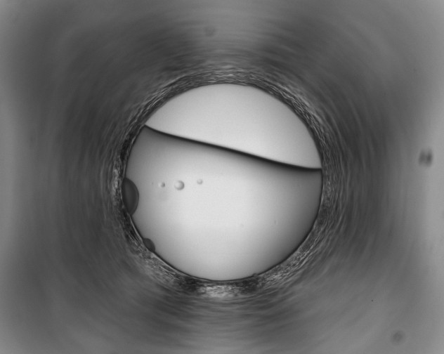 X0000101140417200806270740