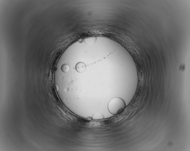 X0000101140418200806270740