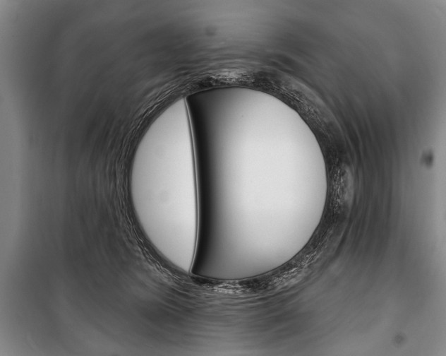X0000101140420200806270740
