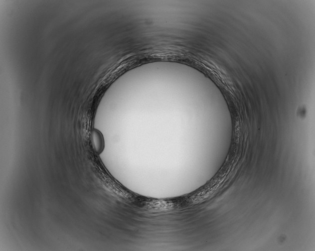 X0000101140421200806270740