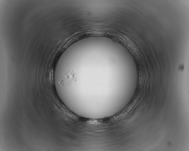 X0000101140425200806270740