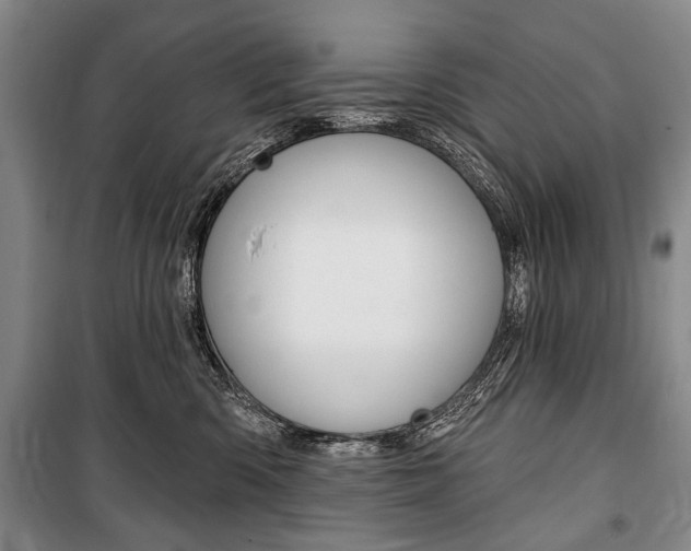 X0000101140426200806270740