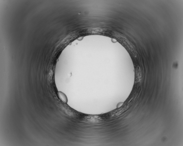 X0000101140427200806270740