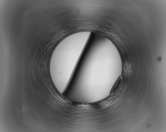 X0000101140428200806270740