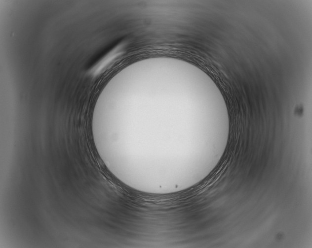 X0000101140431200806270740