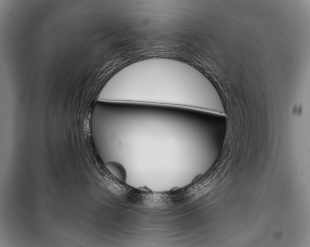 X0000101140432200806270740