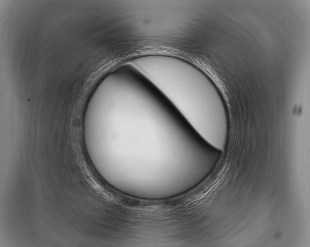 X0000101140433200806270739