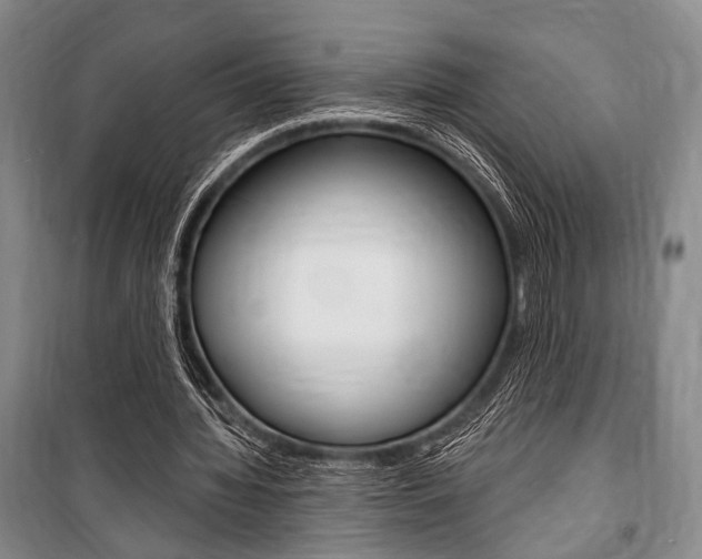 X0000101140436200806270739