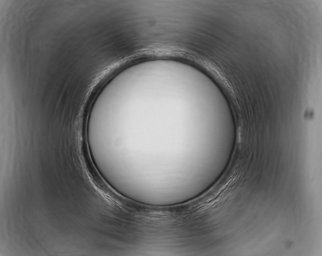 X0000101140438200806270740