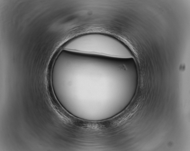 X0000101140439200806270740