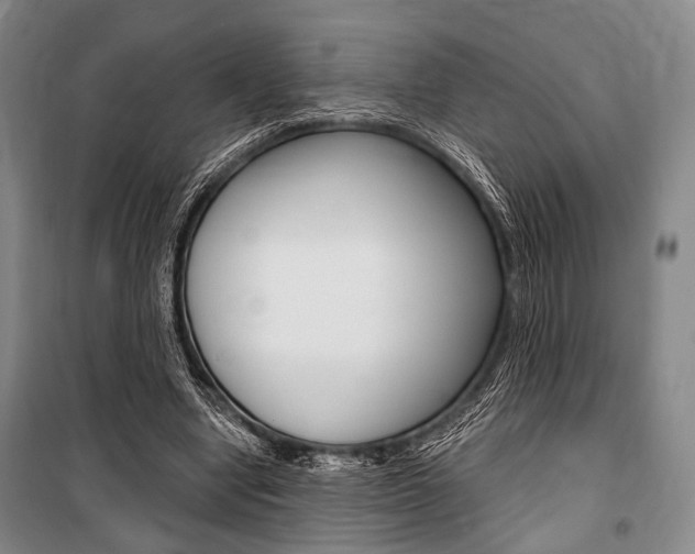 X0000101140442200806270740