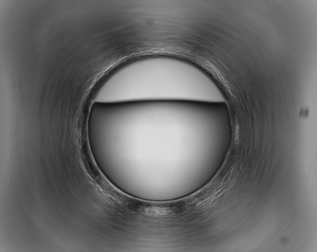X0000101140444200806270740