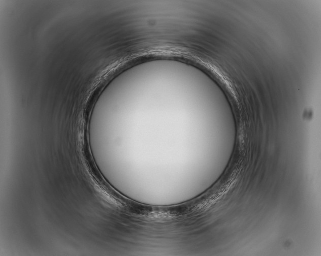 X0000101140445200806270740
