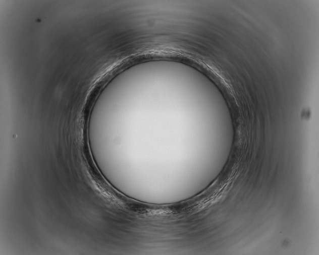 X0000101140446200806270740