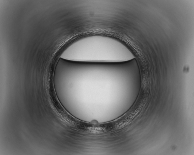 X0000101140448200806270740