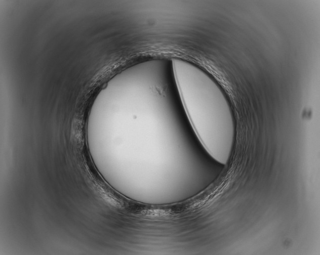 X0000101140449200806270740