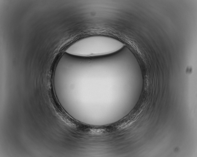 X0000101140450200806270740