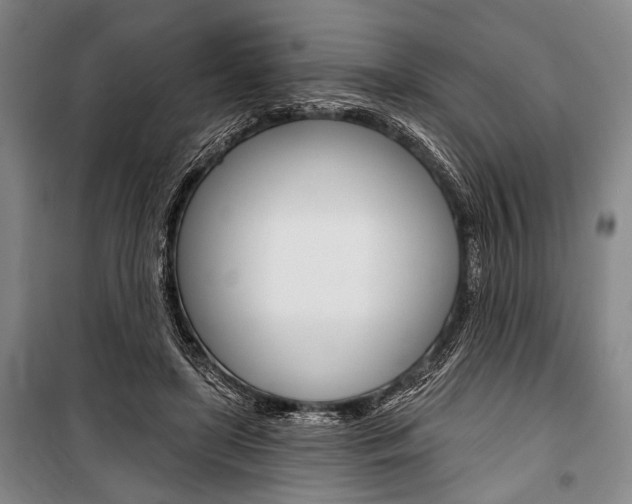 X0000101140451200806270740