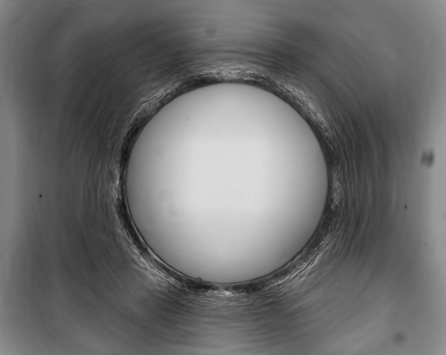 X0000101140453200806270740